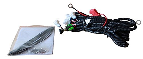 LUXCART™ EZGO TXT Standard Light Kit (1996-2013)